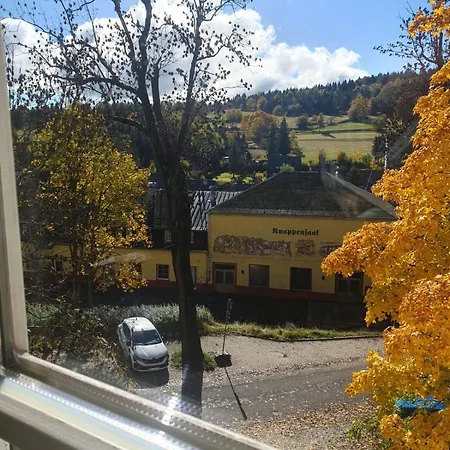 Zentral Gelegene Apartment Altenberg